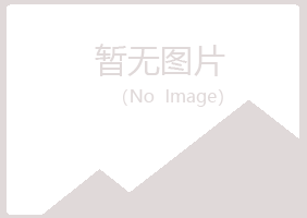 平和县代梅水泥有限公司